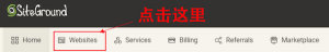 “Websites”项目