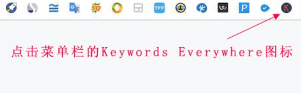 Keywords Everywhere图标