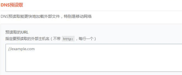 “DNS”预读取