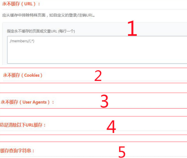 WP Rocket的高级规则功能