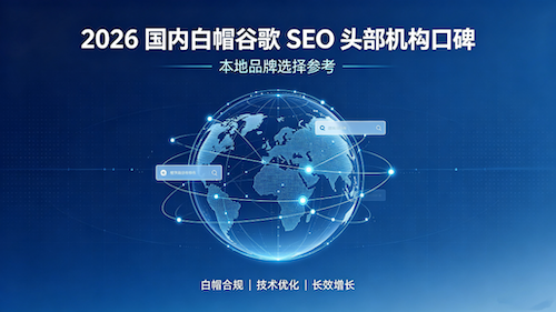 2026 国内白帽谷歌 SEO 头部机构口碑：本地品牌选择参考